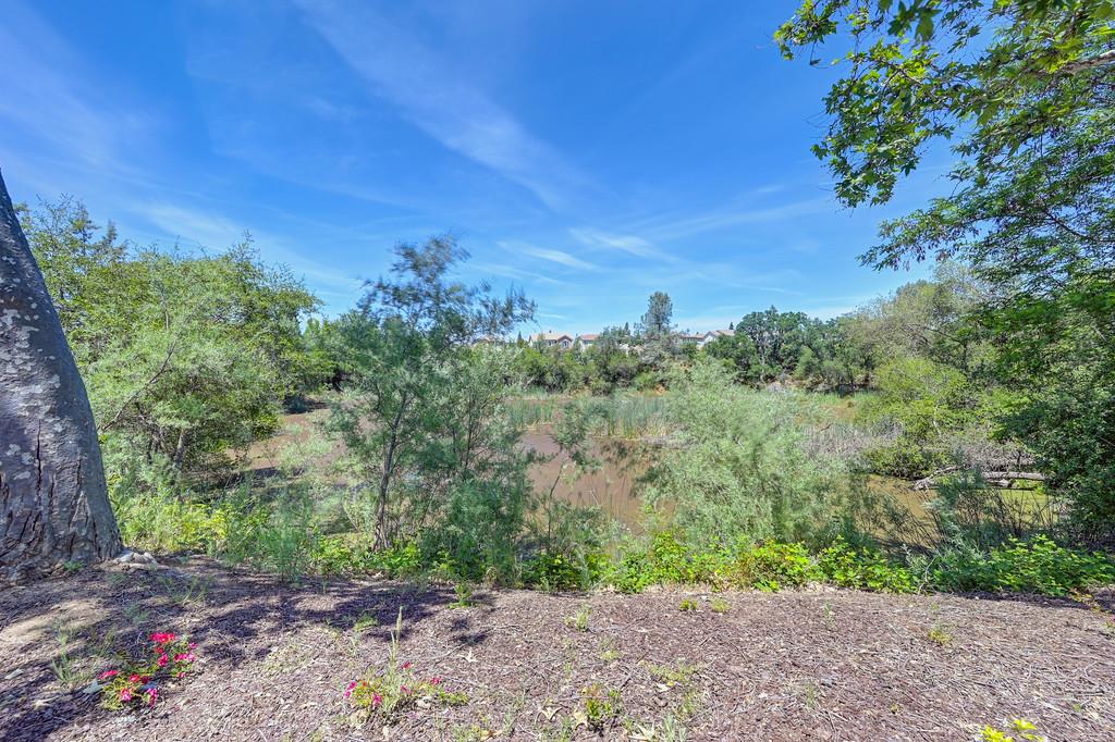 Humbert Street, Folsom, California image 37