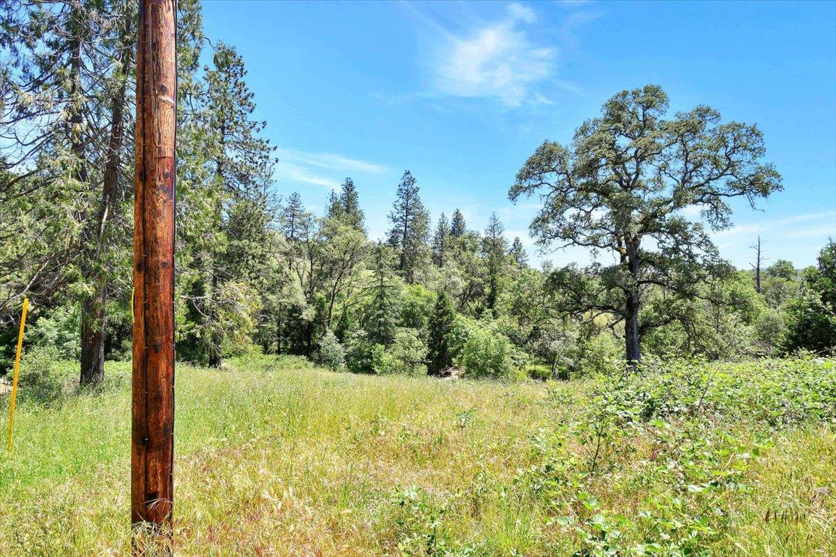 Detail Gallery Image 55 of 92 For 17657 Crest Rd, Grass Valley,  CA 95949 - 3 Beds | 2 Baths