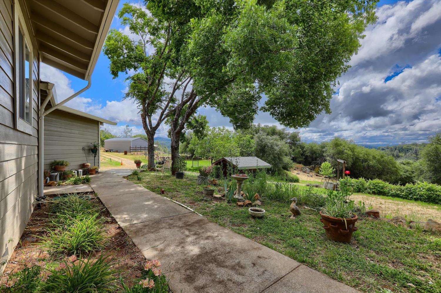 Detail Gallery Image 43 of 65 For 18386 Piper Ln, Penn Valley,  CA 95946 - 3 Beds | 2 Baths