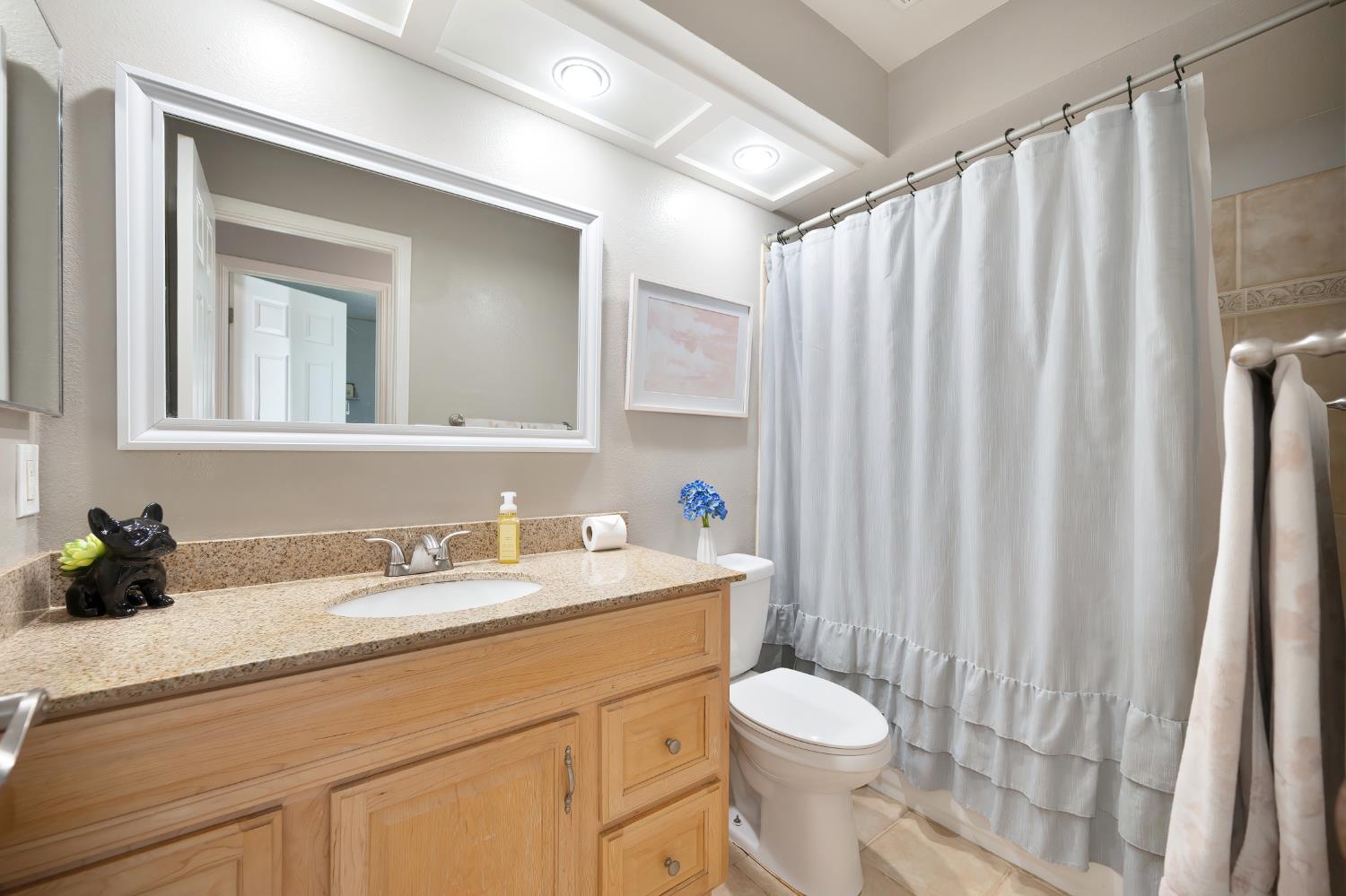 Detail Gallery Image 19 of 33 For 6546 Skyview Dr, Orangevale,  CA 95662 - 4 Beds | 2 Baths
