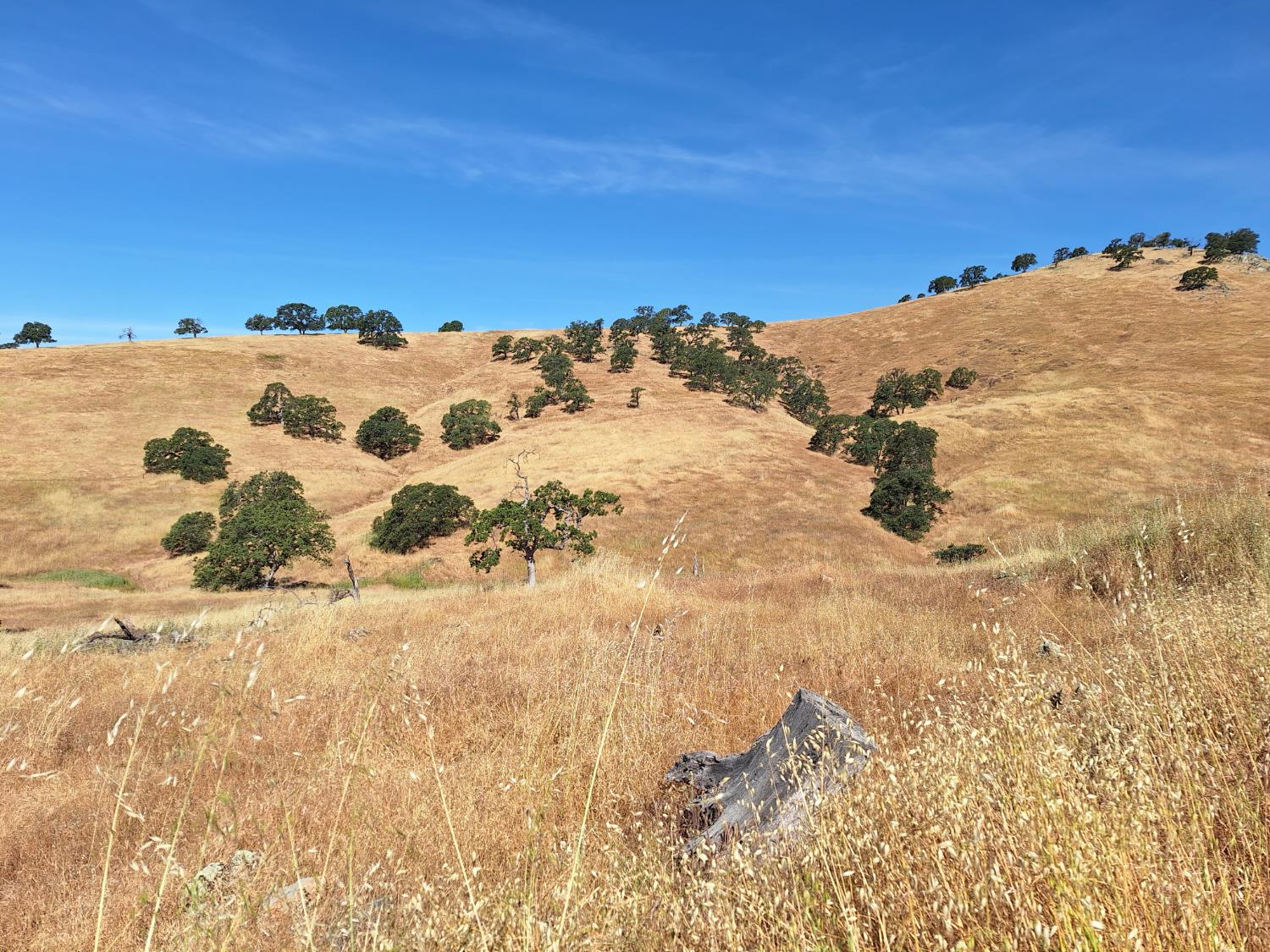 Hernandez, La Grange, California image 3