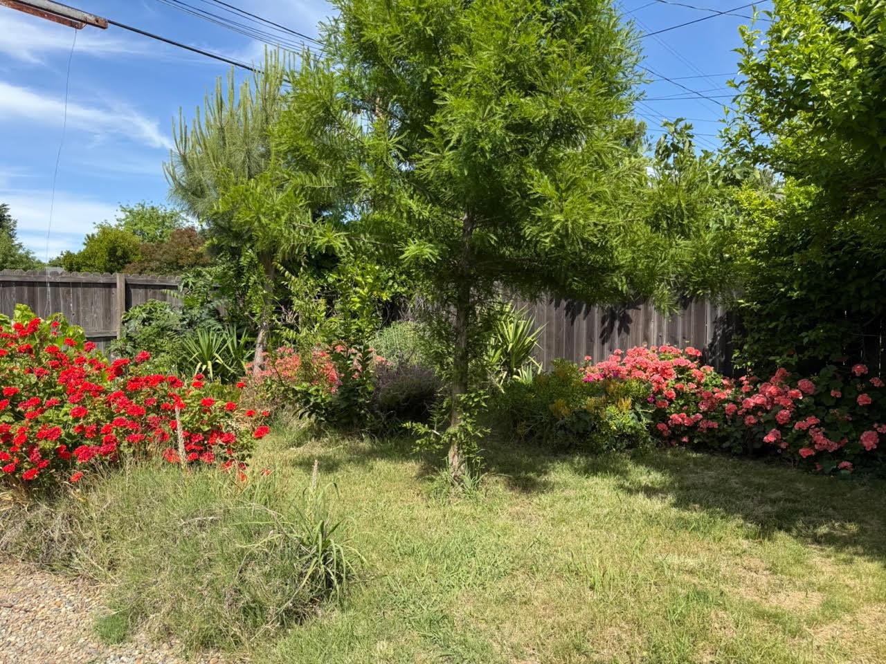 Detail Gallery Image 22 of 25 For 3233 Y St, Sacramento,  CA 95817 - 2 Beds | 1 Baths
