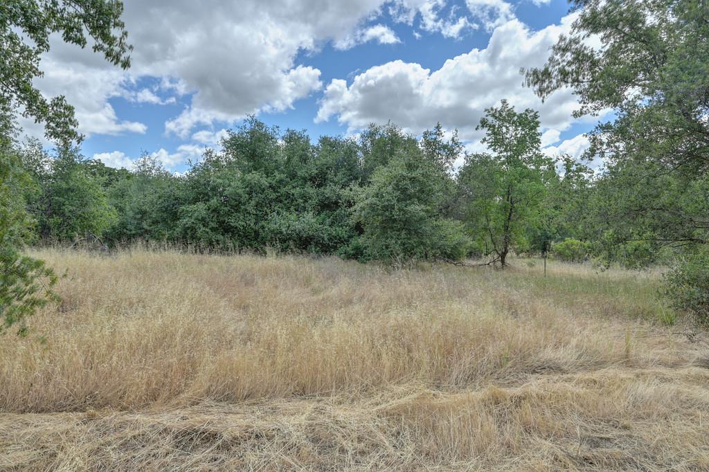 Detail Gallery Image 19 of 31 For 0 Eden Ln, Lincoln,  CA 95648 - – Beds | – Baths