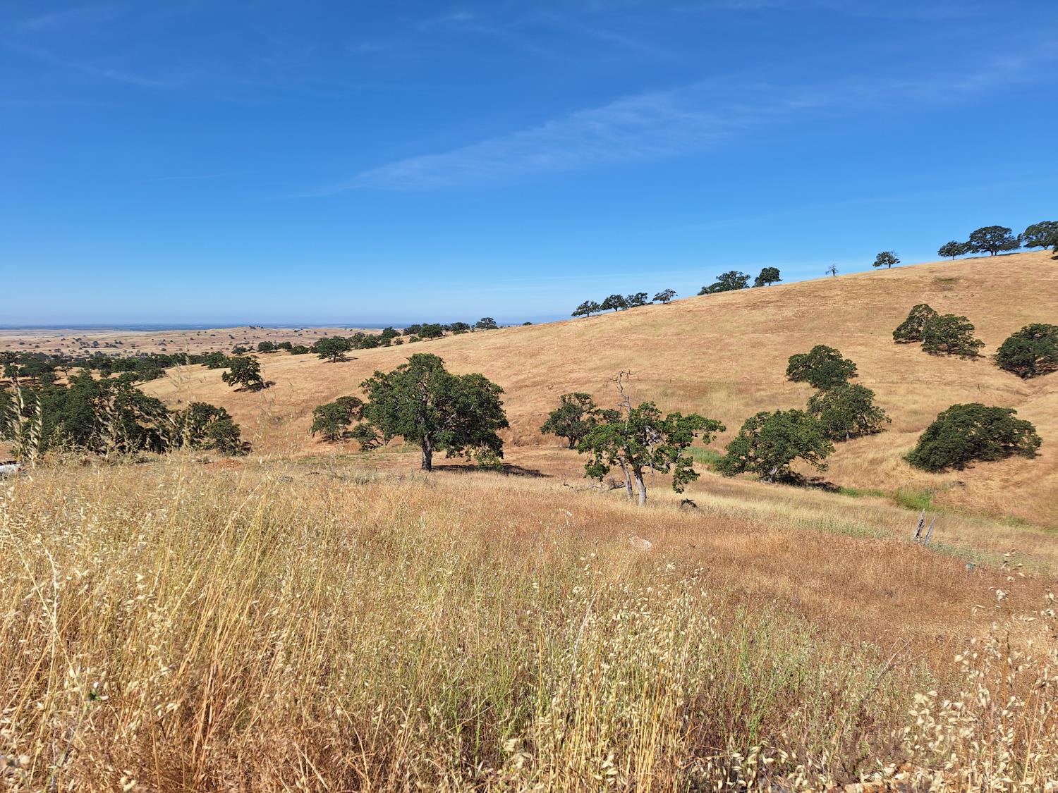 Hernandez, La Grange, California image 1