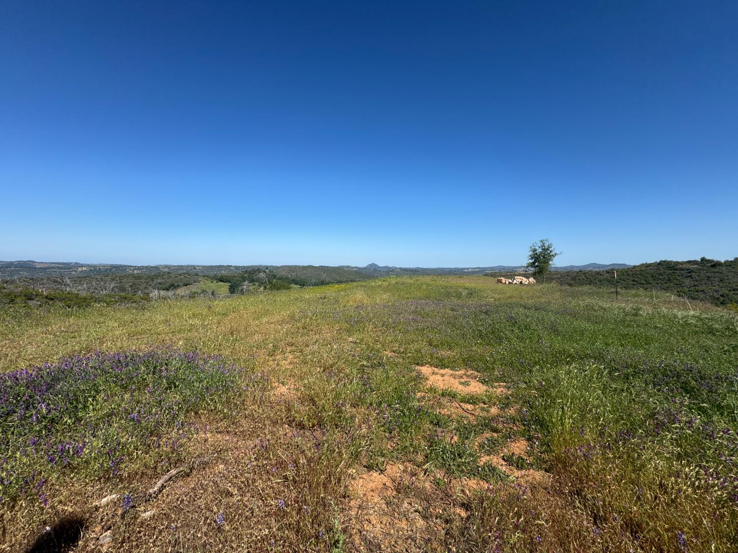 Detail Gallery Image 6 of 44 For 8744 Maranatha Ln, Mountain Ranch,  CA 95245 - – Beds | – Baths