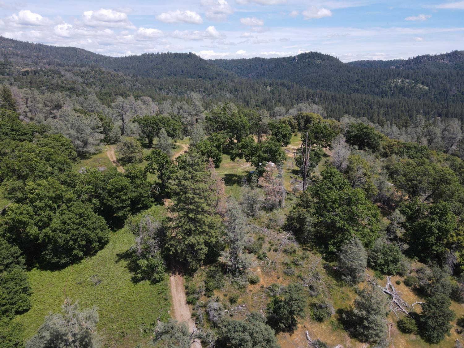 Detail Gallery Image 7 of 29 For 0 Hubbard Rd, Sheep Ranch,  CA 95246 - – Beds | – Baths