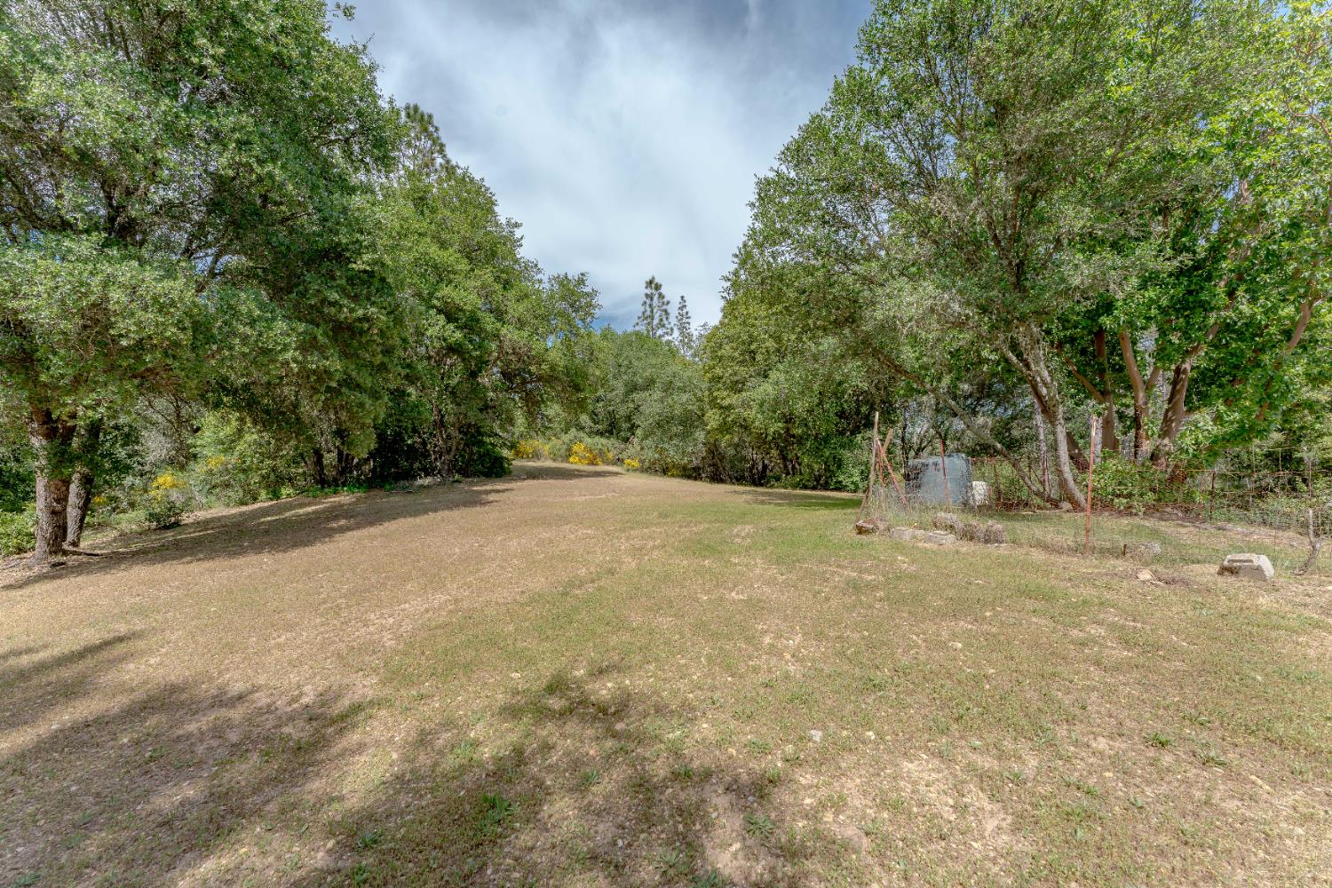 Moose Trail, Greenwood, California image 6
