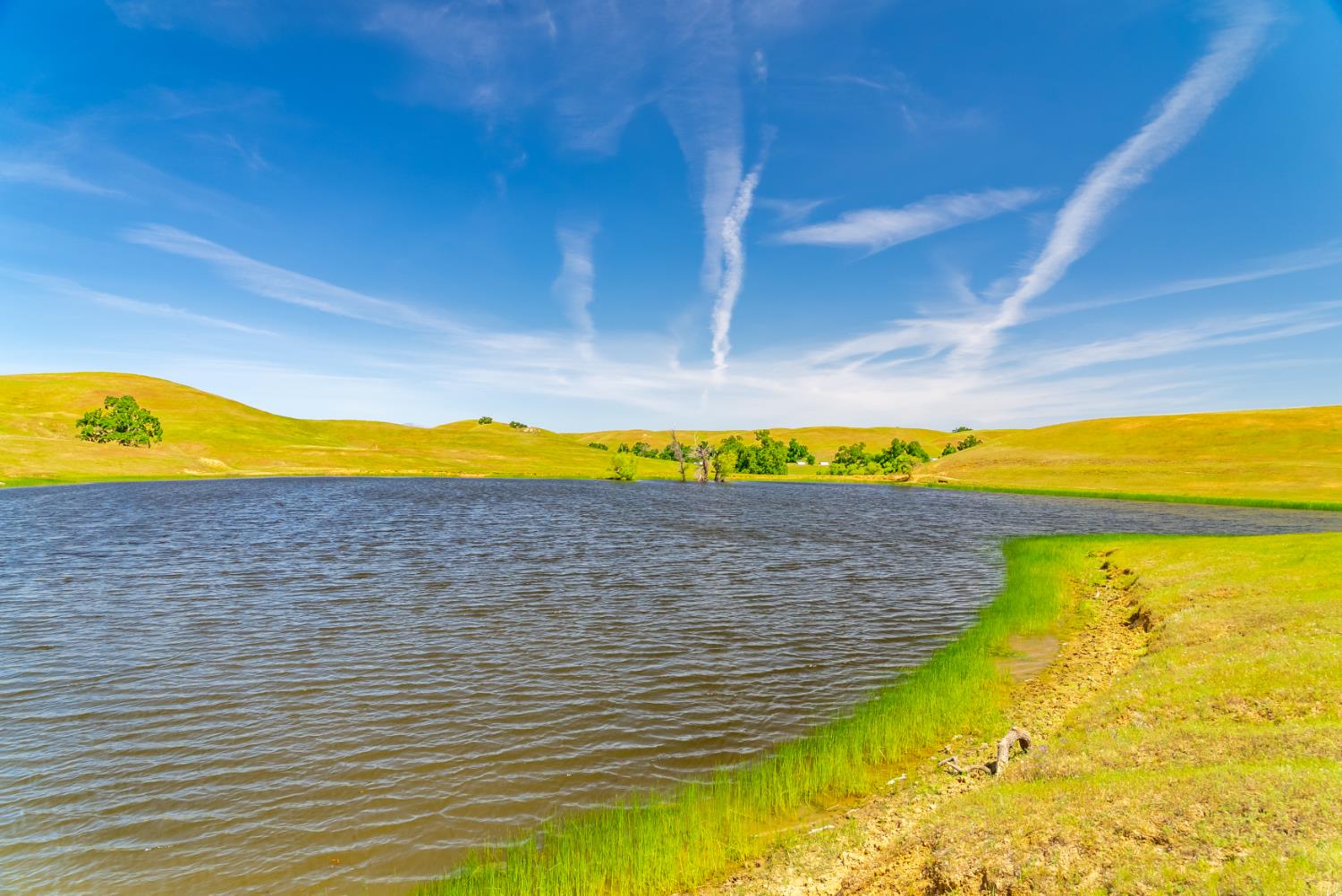 Detail Gallery Image 59 of 89 For 15605 Johnson Rd, Red Bluff,  CA 96080 - 4 Beds | 4 Baths