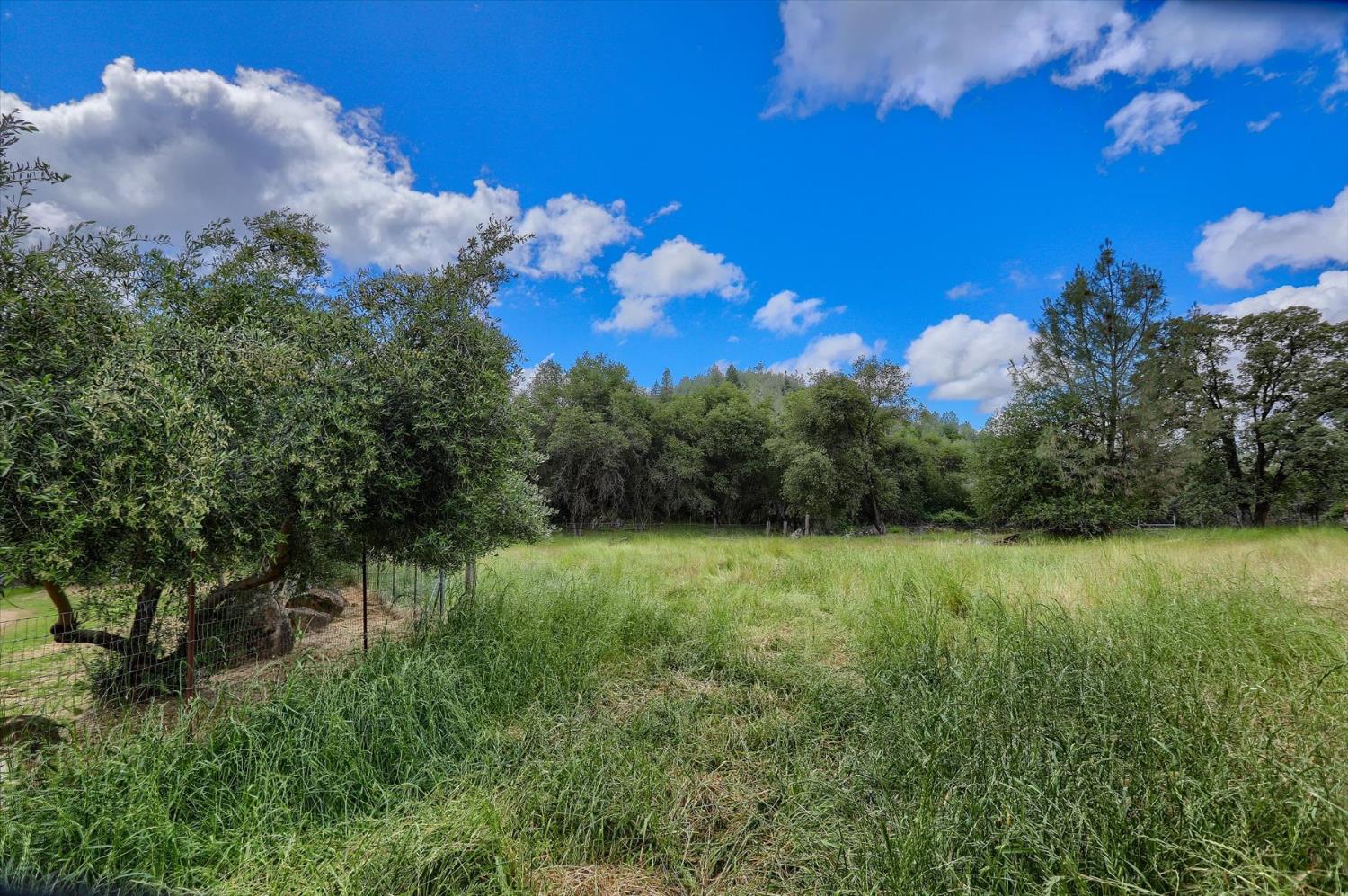 Detail Gallery Image 52 of 65 For 18386 Piper Ln, Penn Valley,  CA 95946 - 3 Beds | 2 Baths