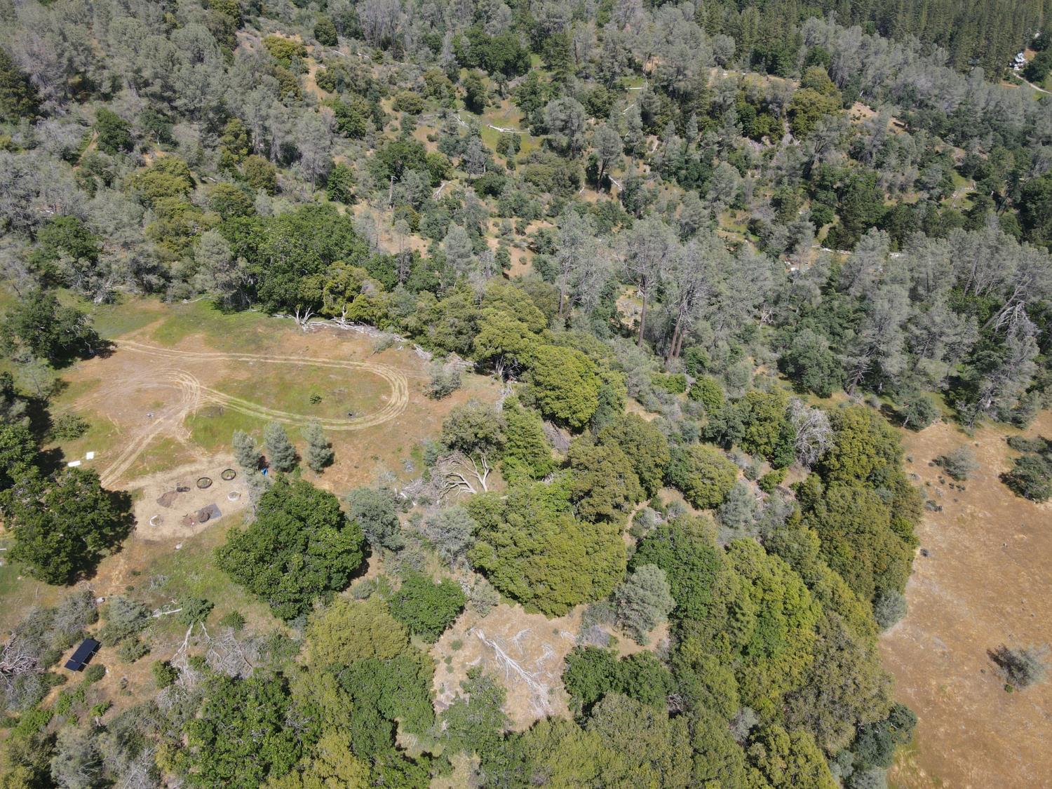 Detail Gallery Image 10 of 29 For 0 Hubbard Rd, Sheep Ranch,  CA 95246 - – Beds | – Baths