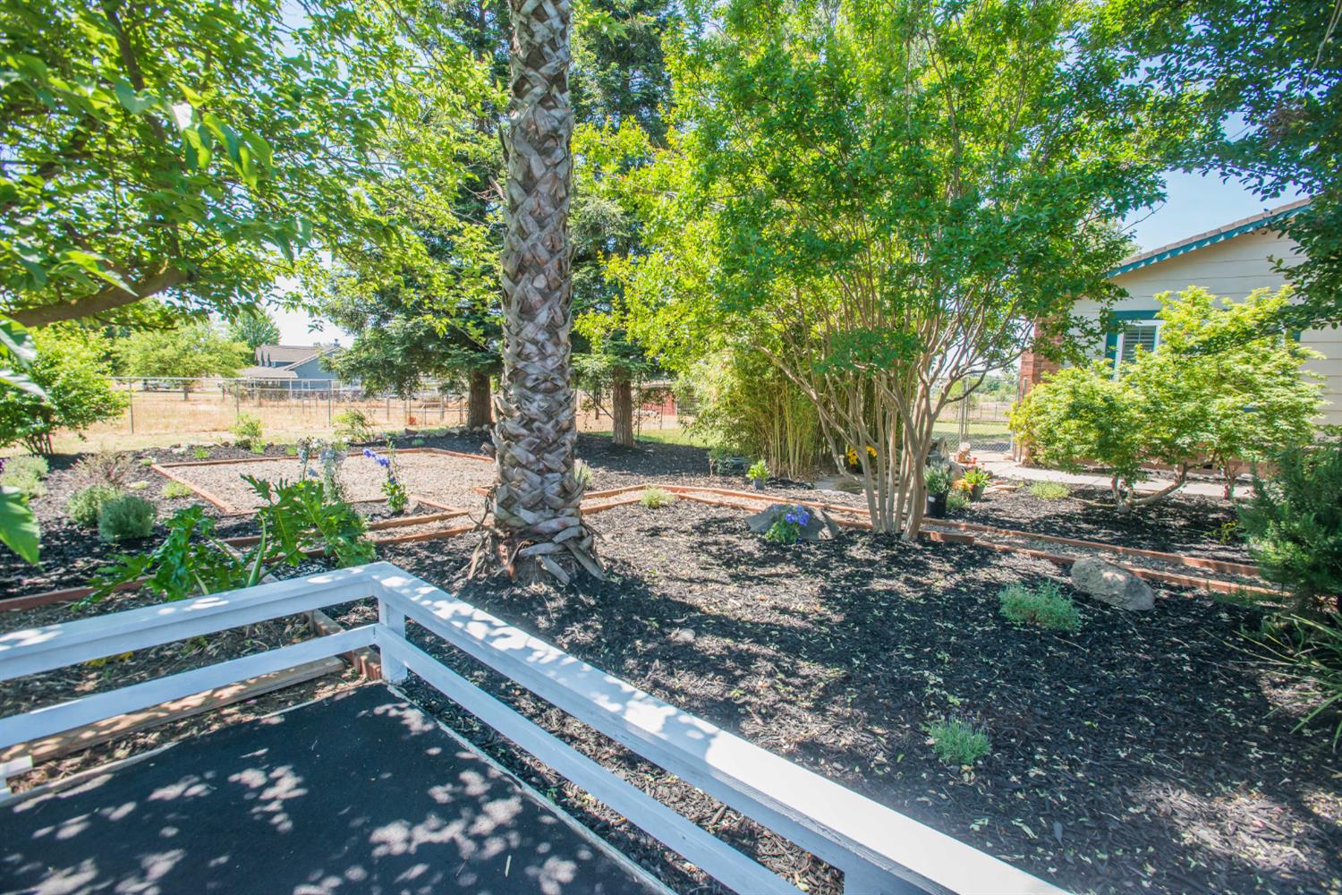Detail Gallery Image 7 of 99 For 10054 Colony Rd, Wilton,  CA 95693 - 5 Beds | 3 Baths