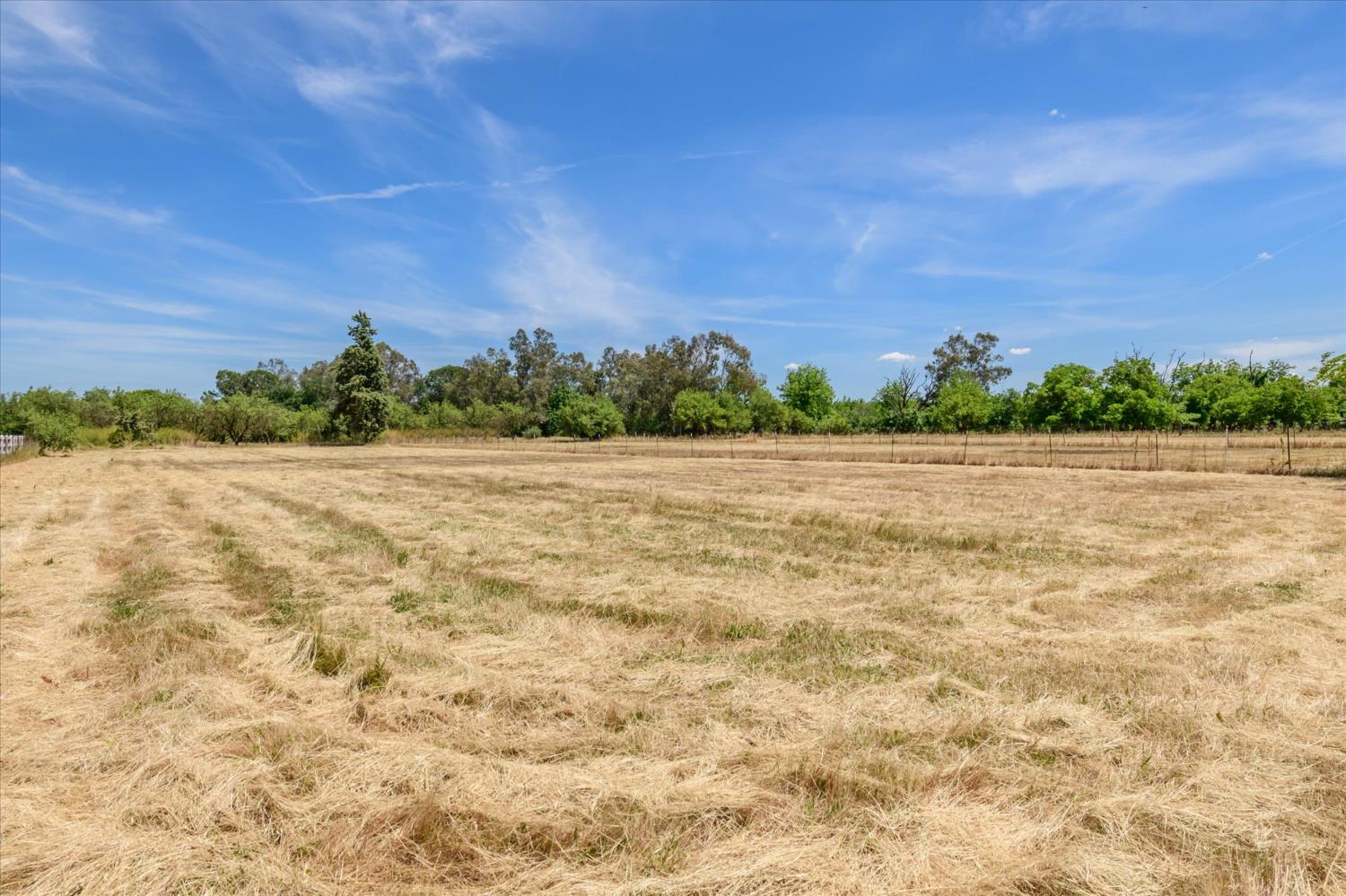 Detail Gallery Image 40 of 56 For 25233 County Road 96, Davis,  CA 95616 - 4 Beds | 2 Baths