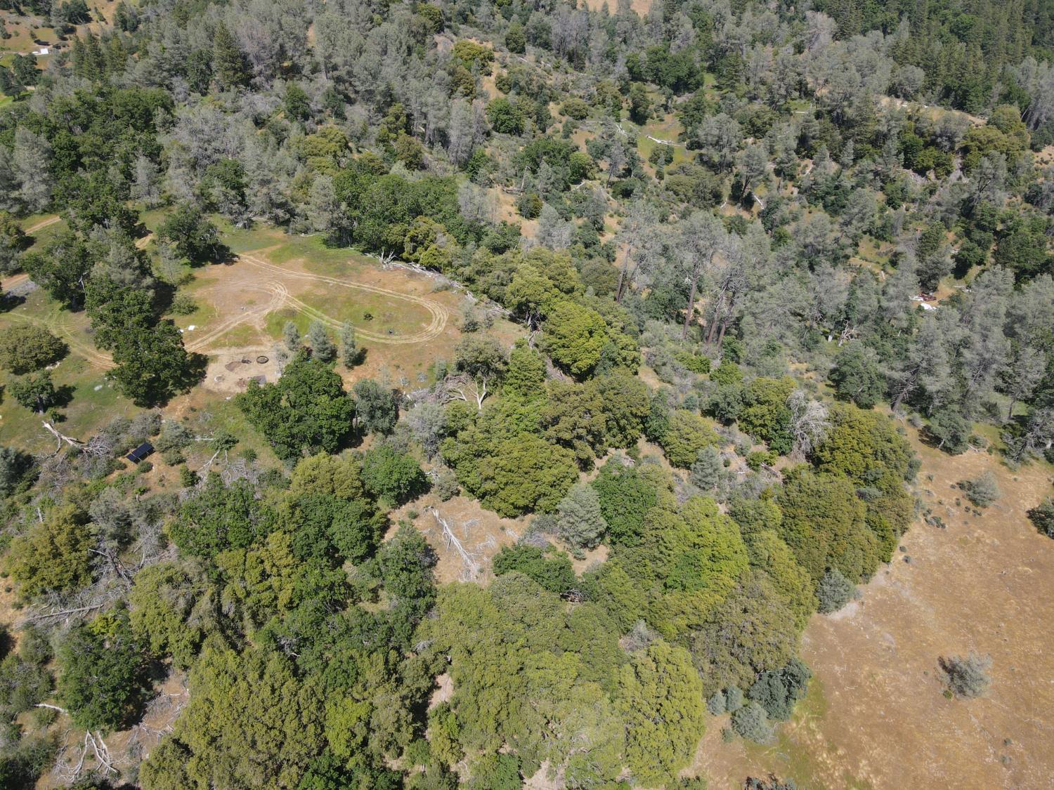 Detail Gallery Image 11 of 29 For 0 Hubbard Rd, Sheep Ranch,  CA 95246 - – Beds | – Baths