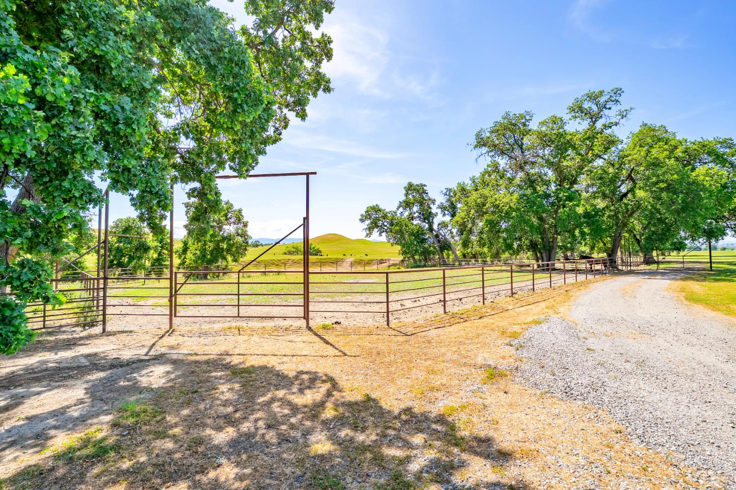 Detail Gallery Image 49 of 89 For 15605 Johnson Rd, Red Bluff,  CA 96080 - 4 Beds | 4 Baths
