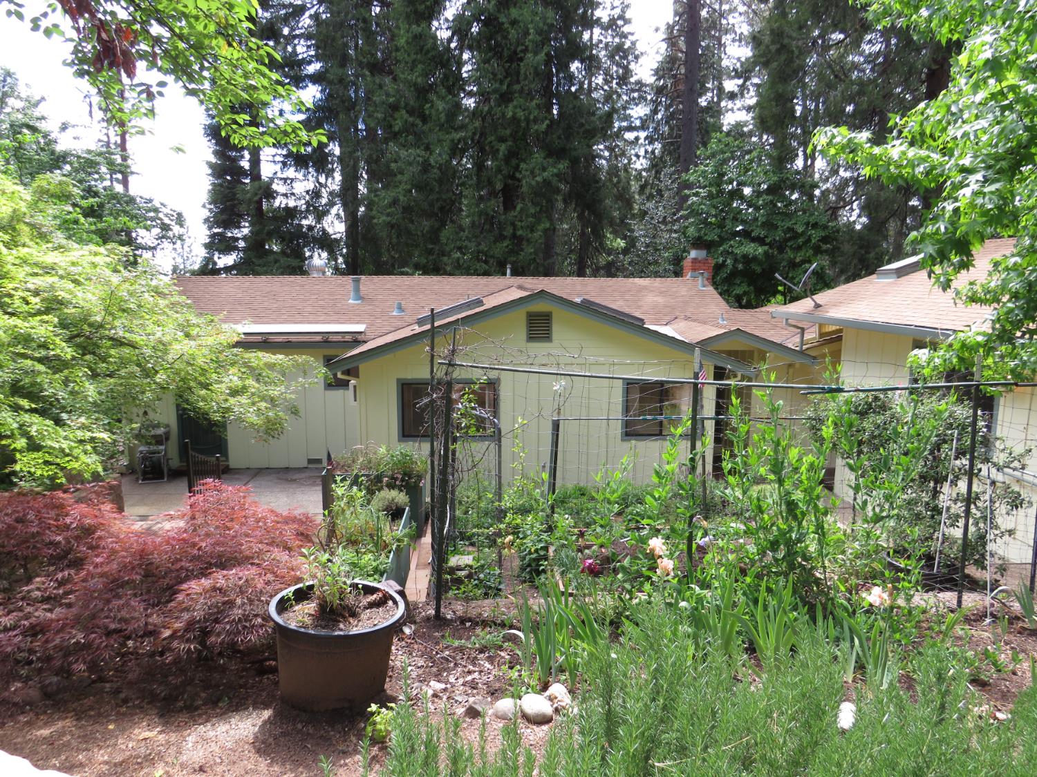 Detail Gallery Image 36 of 52 For 465 Alpine Dr, Colfax,  CA 95713 - 3 Beds | 1/1 Baths