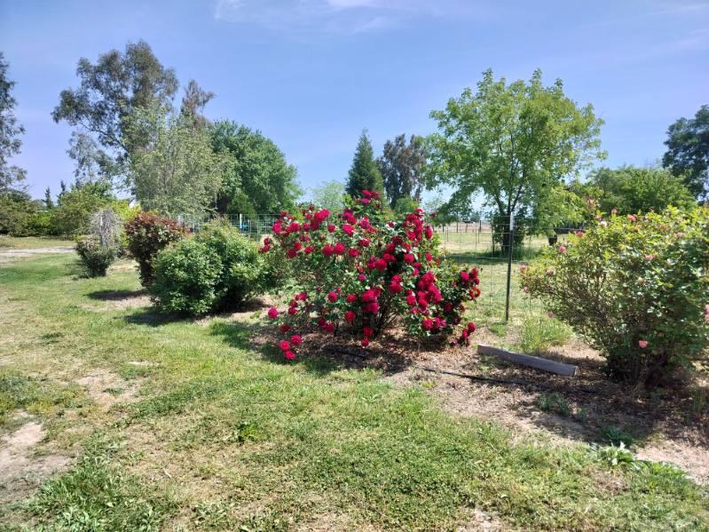 Detail Gallery Image 30 of 33 For 5731 State Highway 99w, Corning,  CA 96021 - 3 Beds | 2 Baths