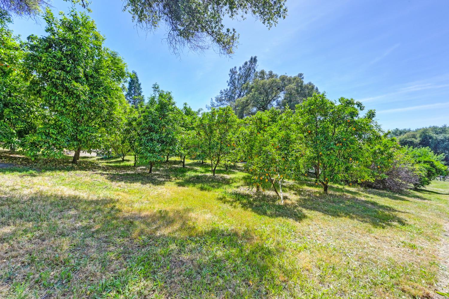 Detail Gallery Image 57 of 97 For 4141 Prospector Rd, Loomis,  CA 95650 - 4 Beds | 2 Baths