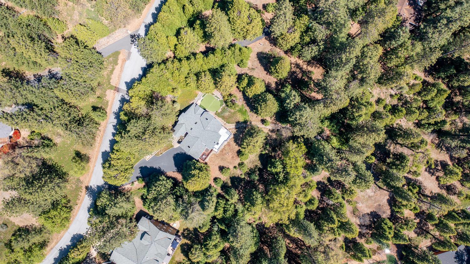 Detail Gallery Image 69 of 78 For 1004 Bear Run Way, Camp Connell,  CA 95223 - 3 Beds | 3/1 Baths