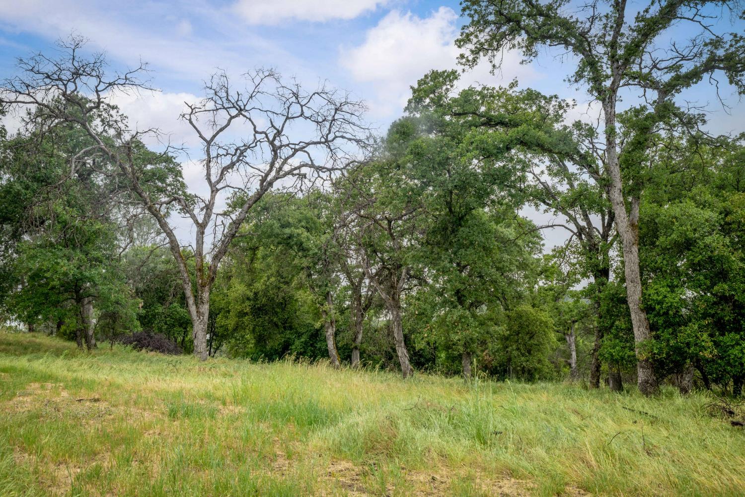 Detail Gallery Image 42 of 47 For 12606 Black Rd, –,  CA 95977 - 3 Beds | 2 Baths