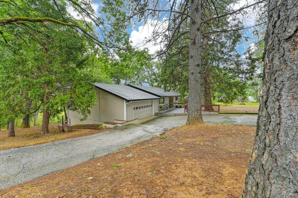 Detail Gallery Image 7 of 90 For 25375 Pineview Dr, Colfax,  CA 95713 - 3 Beds | 2 Baths