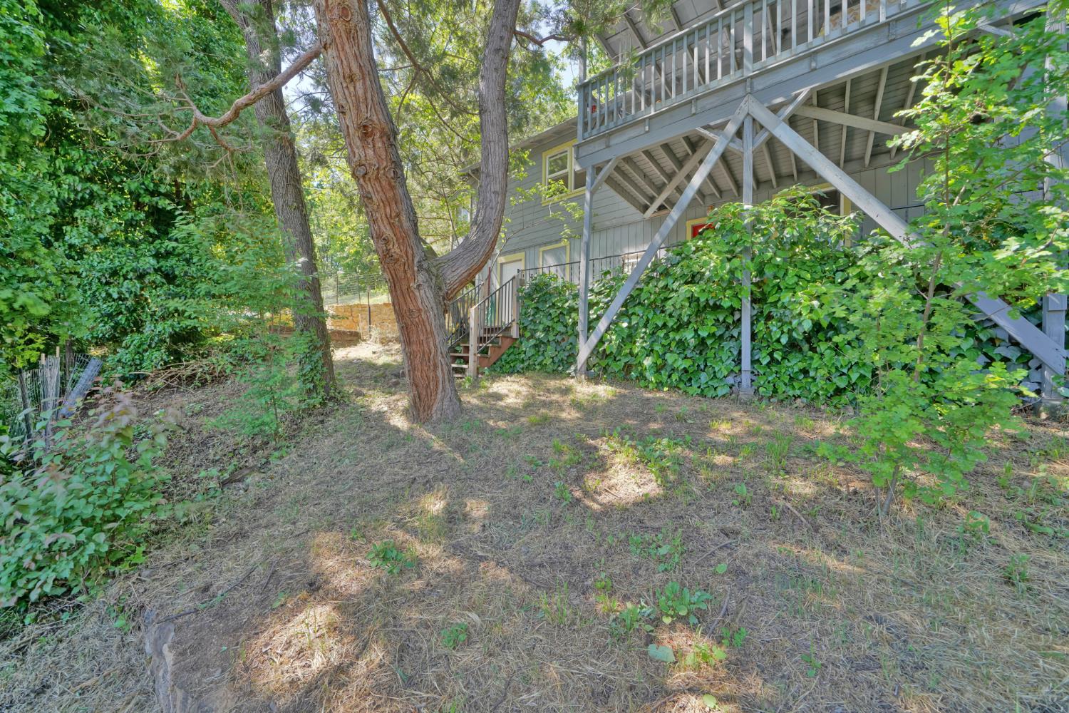 Garden Loop, Placerville, California image 50