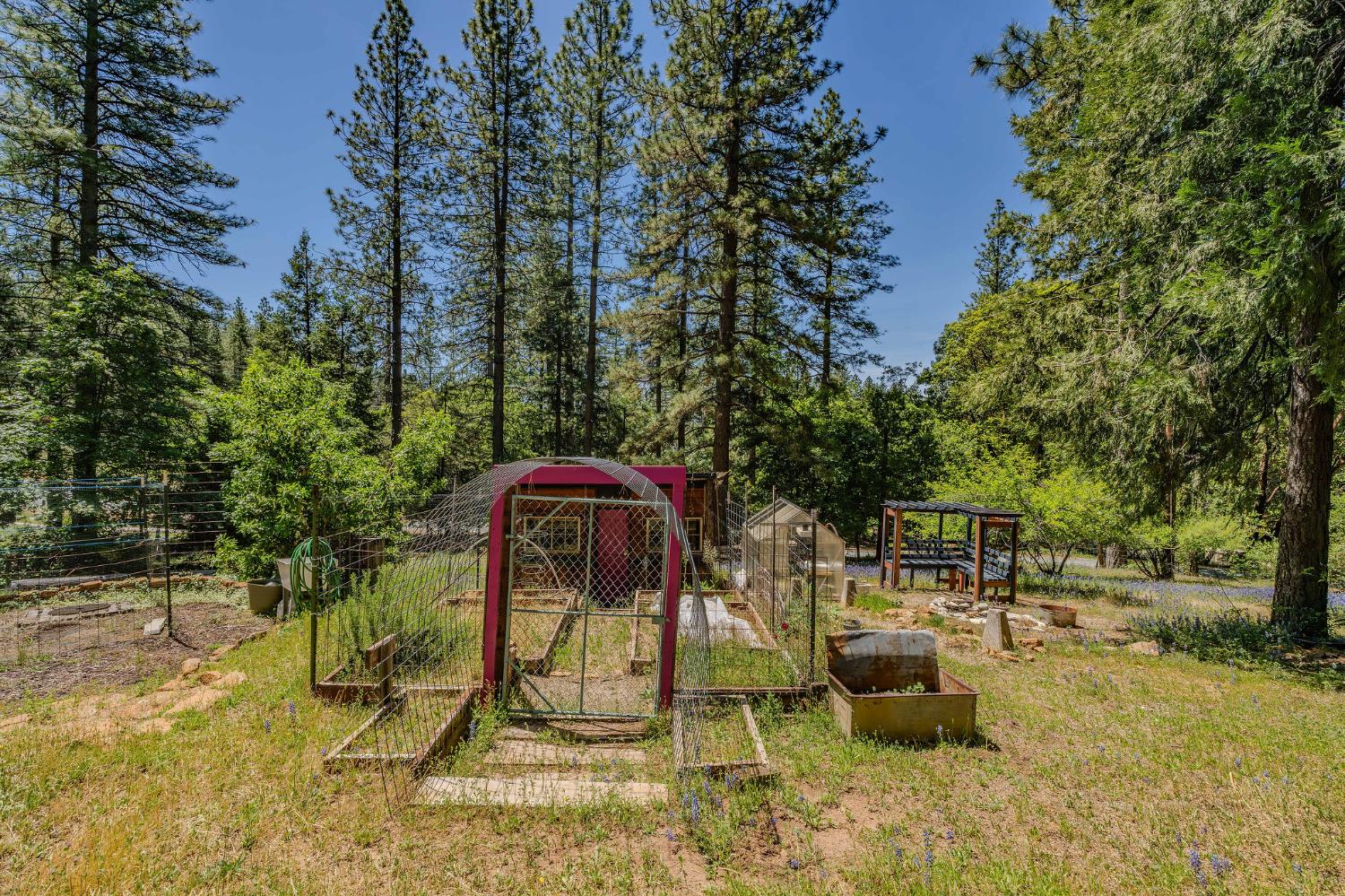 Detail Gallery Image 34 of 43 For 14490 Marilyn Ln, Pioneer,  CA 95666 - 2 Beds | 2 Baths