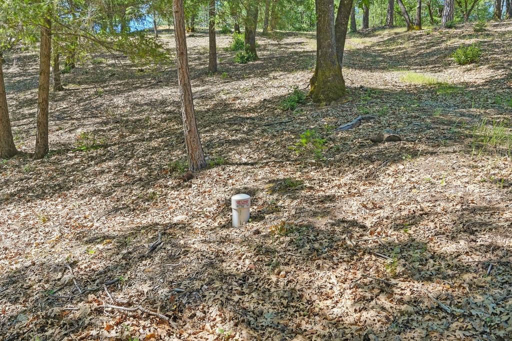 Detail Gallery Image 14 of 59 For 0 John Muir Dr, Colfax,  CA 95713 - – Beds | – Baths