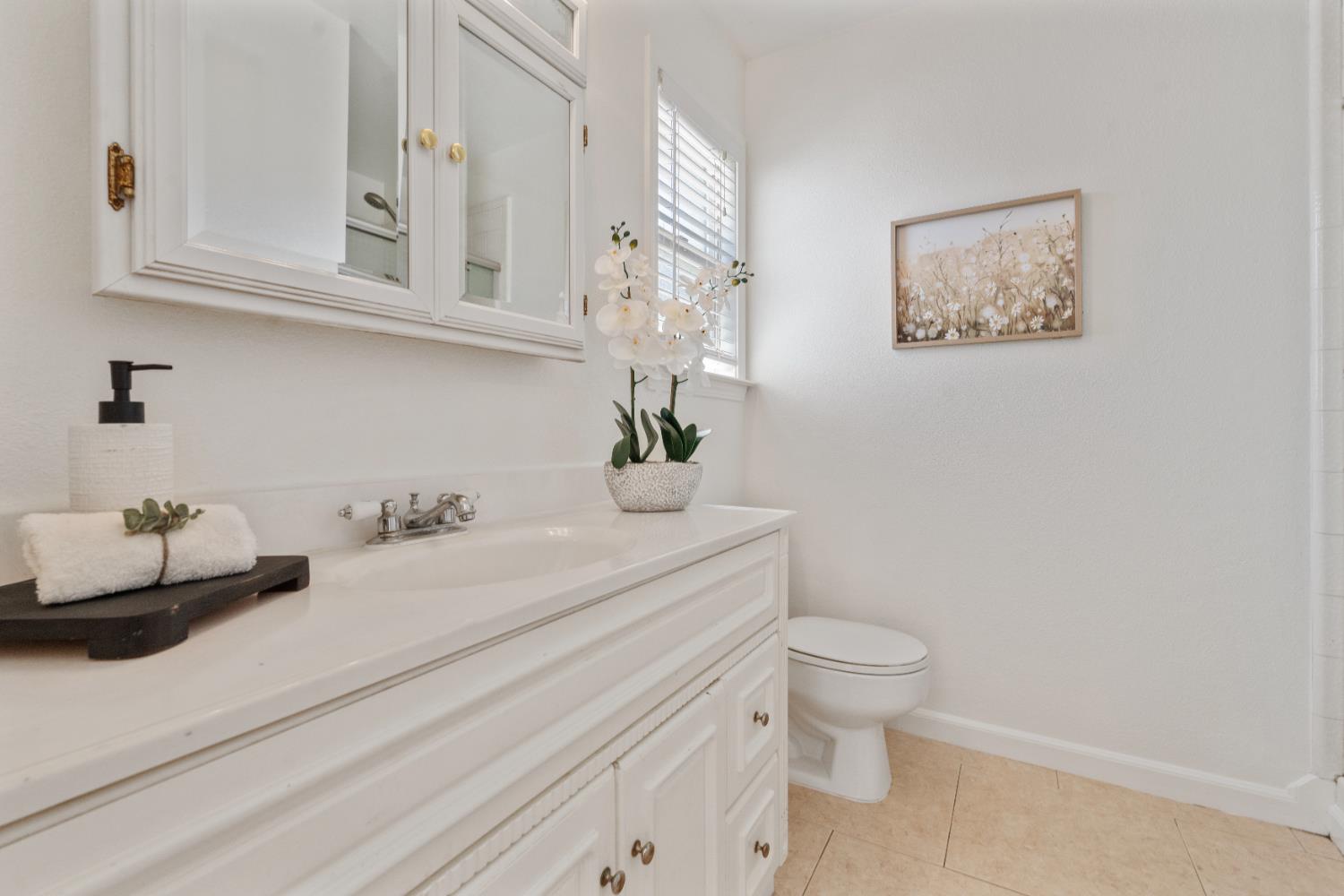 Detail Gallery Image 21 of 27 For 1387 Higton Street, Manteca,  CA 95336 - 3 Beds | 2 Baths