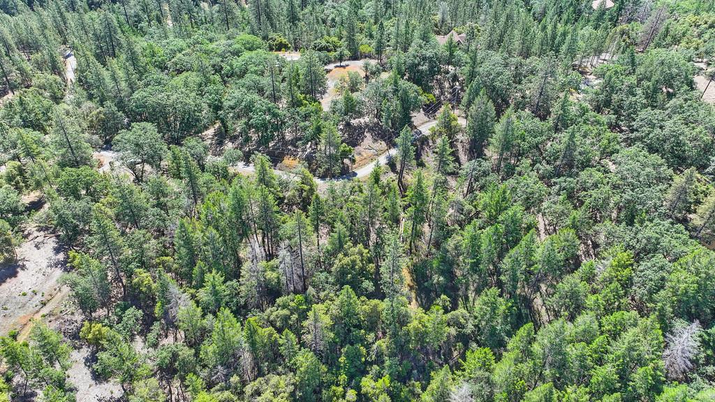 Detail Gallery Image 55 of 59 For 0 John Muir Dr, Colfax,  CA 95713 - – Beds | – Baths