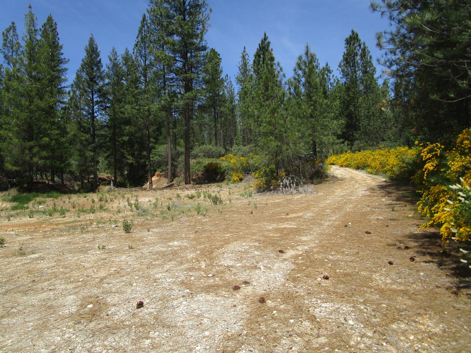 Detail Gallery Image 14 of 24 For 15699 Tyler Foote Rd, Nevada City,  CA 95959 - – Beds | – Baths