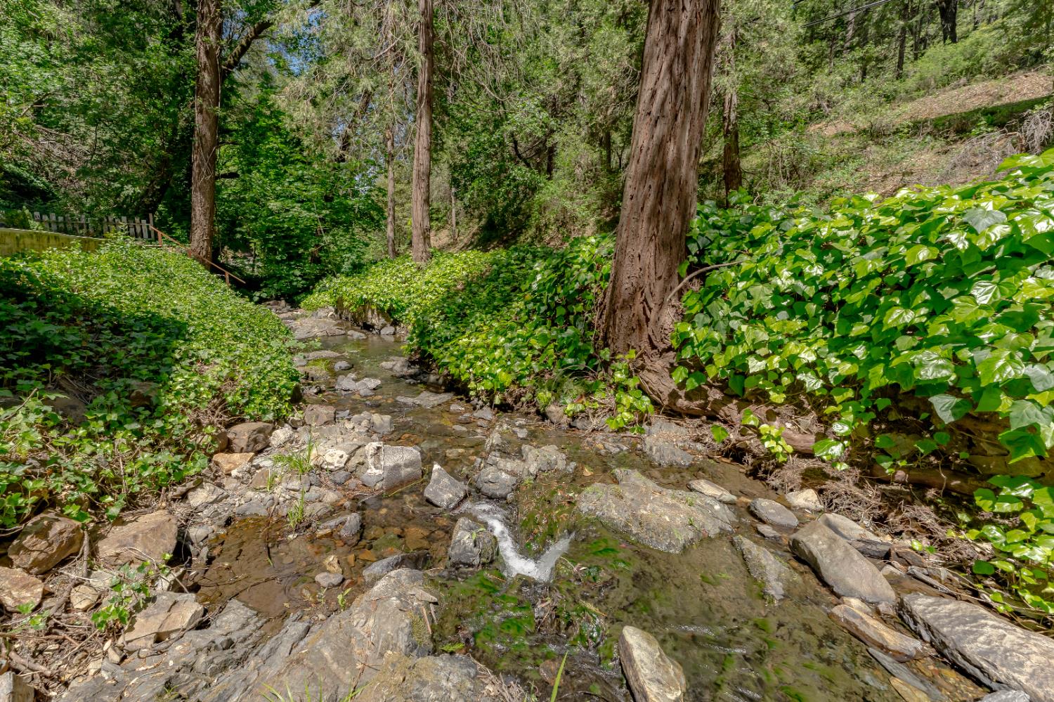 Smith Flat Road, Placerville, California image 34