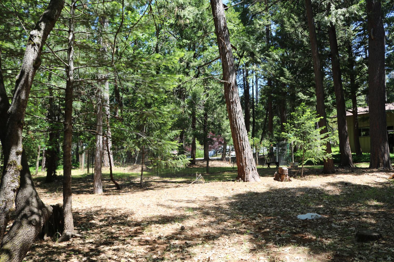 Quaker Hill Cross Road, Nevada City, California image 35