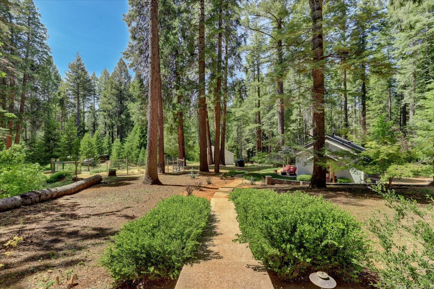 Detail Gallery Image 46 of 88 For 12756 Lonesome Dove Trl, Nevada City,  CA 95959 - 3 Beds | 2 Baths