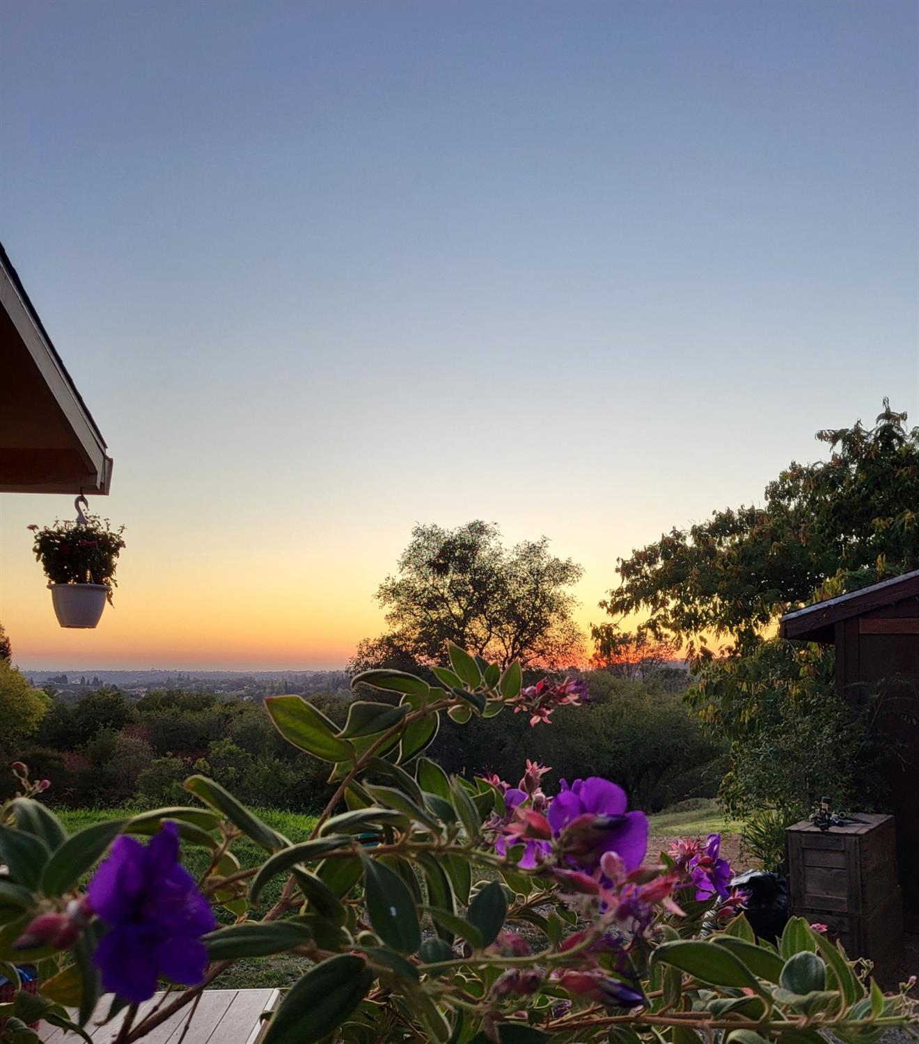Detail Gallery Image 50 of 78 For 1374 Orange Hill Ln, Penryn,  CA 95663 - 4 Beds | 2 Baths