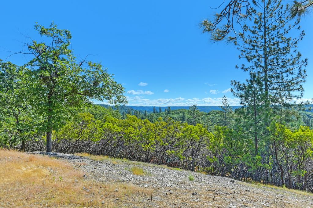 Detail Gallery Image 4 of 59 For 0 John Muir Dr, Colfax,  CA 95713 - – Beds | – Baths