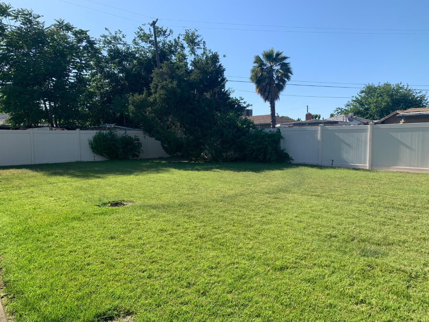 Ash Avenue, Gustine, California image 18