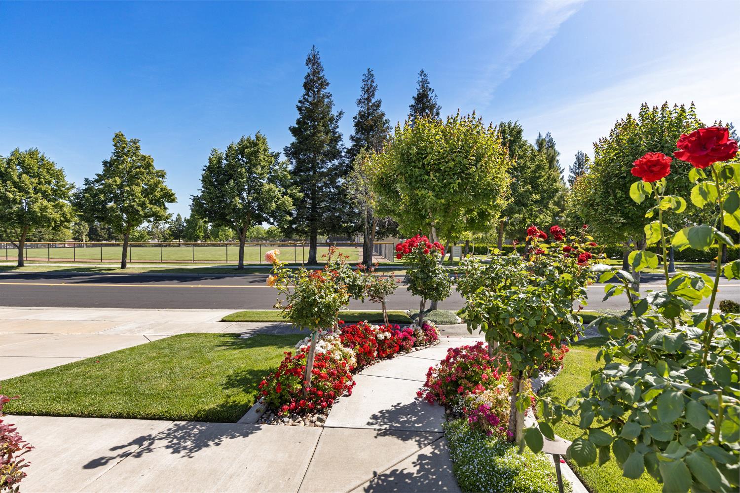 Detail Gallery Image 47 of 48 For 2351 River Berry Dr, Manteca,  CA 95336 - 2 Beds | 2 Baths