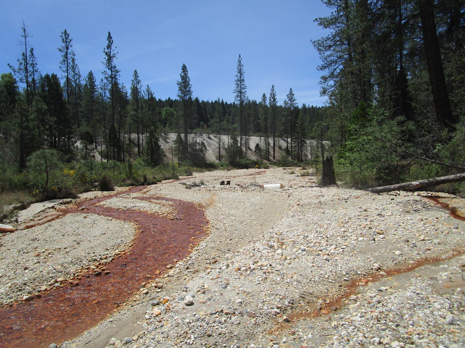 Detail Gallery Image 9 of 24 For 15699 Tyler Foote Rd, Nevada City,  CA 95959 - – Beds | – Baths