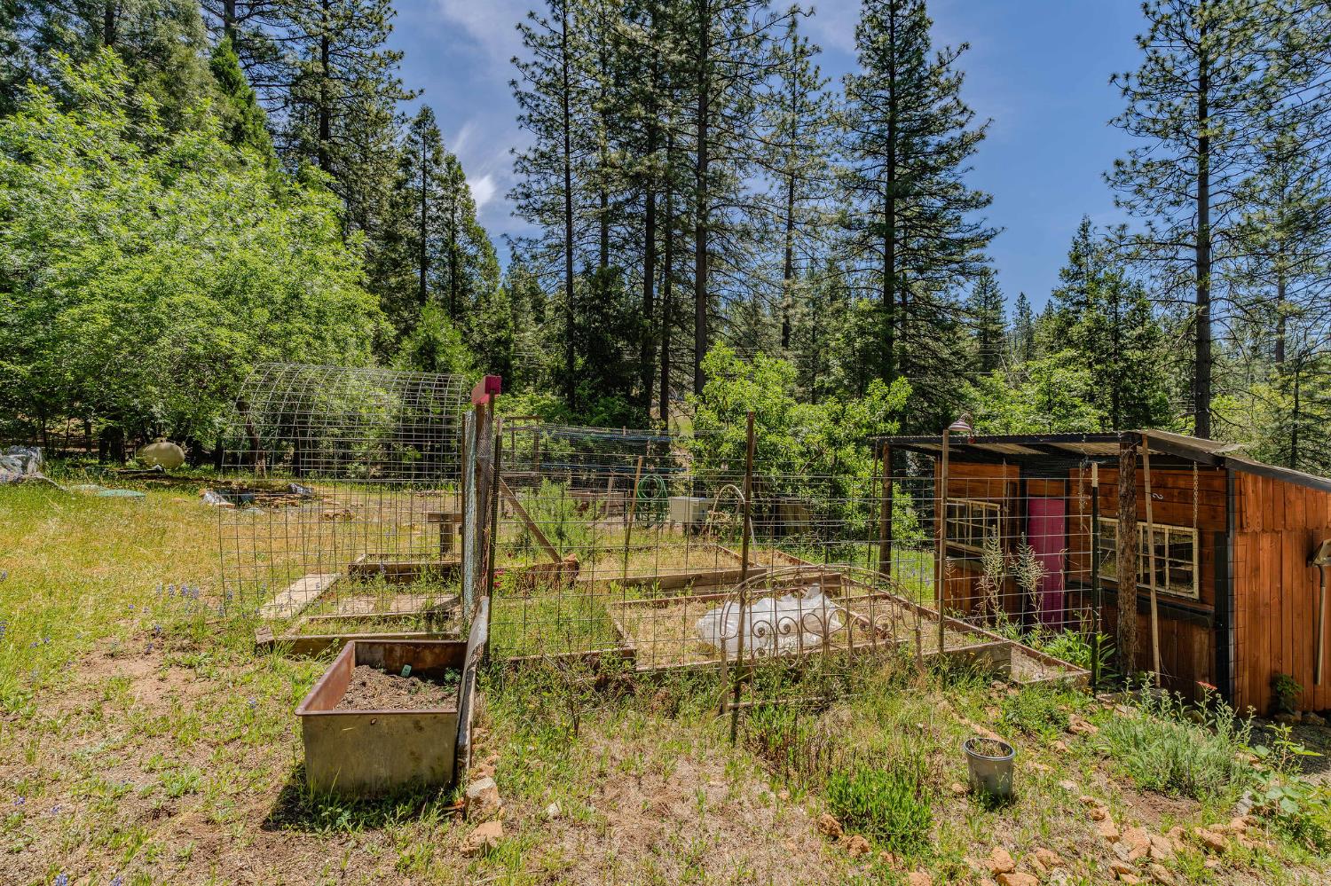 Detail Gallery Image 37 of 43 For 14490 Marilyn Ln, Pioneer,  CA 95666 - 2 Beds | 2 Baths