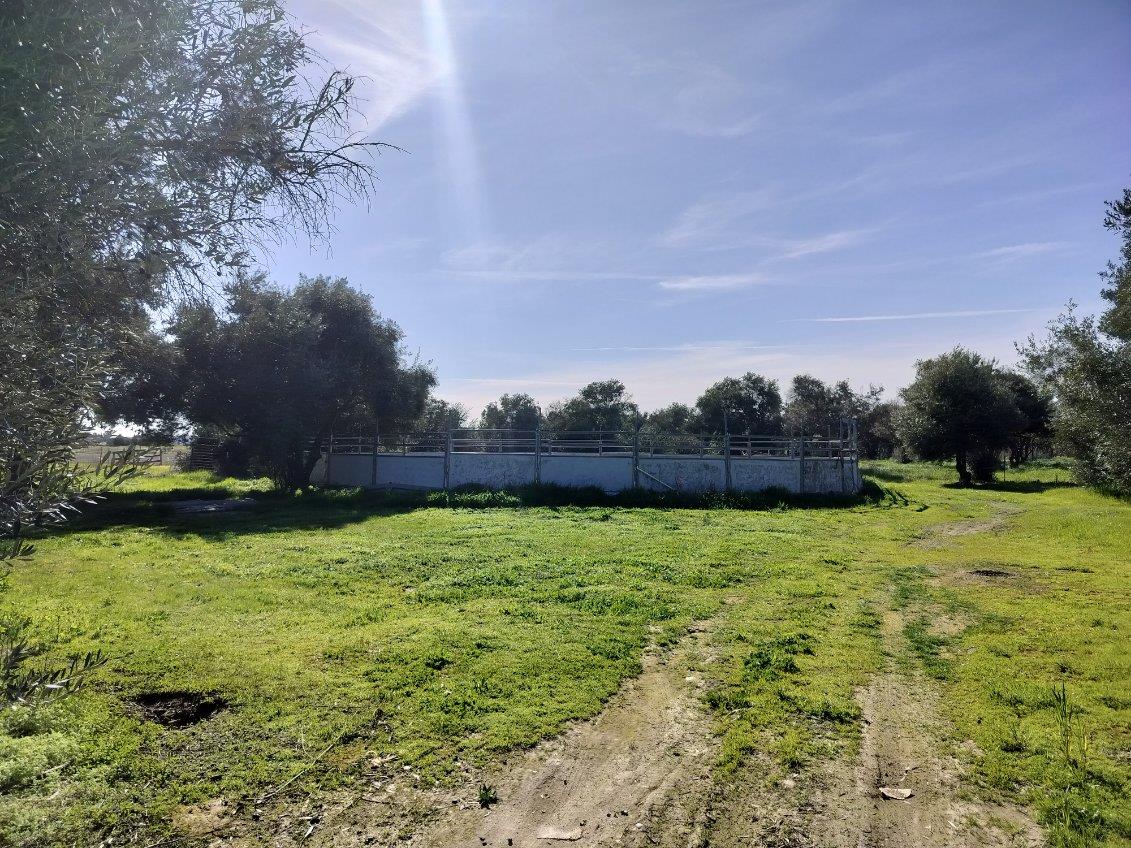 Detail Gallery Image 33 of 33 For 5731 State Highway 99w, Corning,  CA 96021 - 3 Beds | 2 Baths