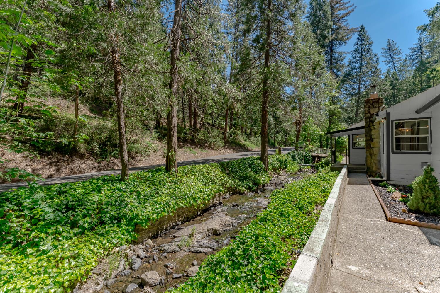 Smith Flat Road, Placerville, California image 31