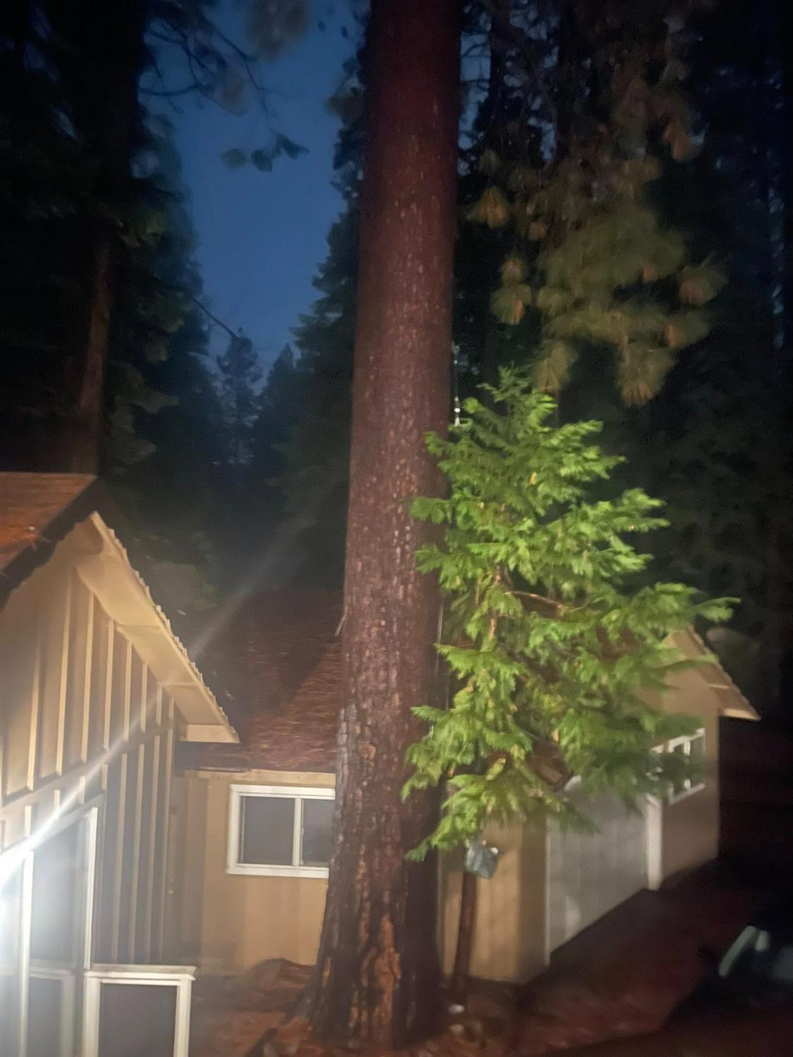 Detail Gallery Image 7 of 8 For 1826 Pine Dr, Arnold,  CA 95223 - 2 Beds | 1 Baths