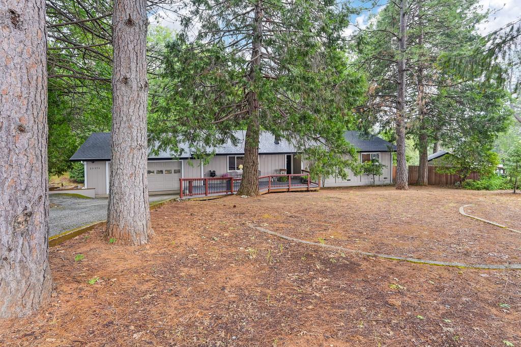 Detail Gallery Image 5 of 90 For 25375 Pineview Dr, Colfax,  CA 95713 - 3 Beds | 2 Baths