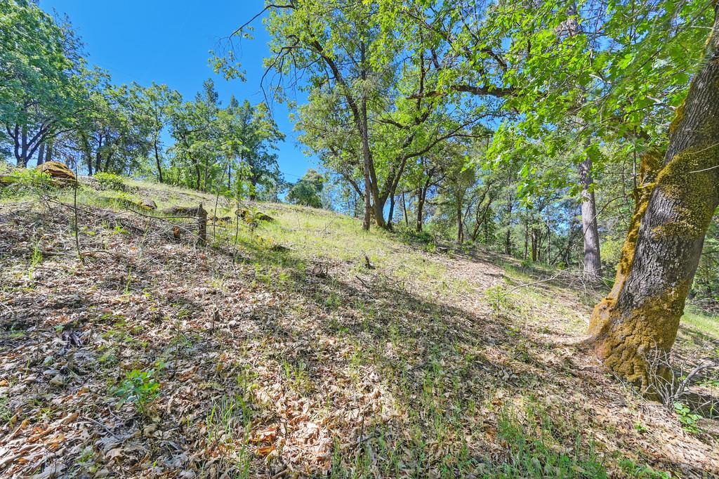 Detail Gallery Image 47 of 59 For 0 John Muir Dr, Colfax,  CA 95713 - – Beds | – Baths