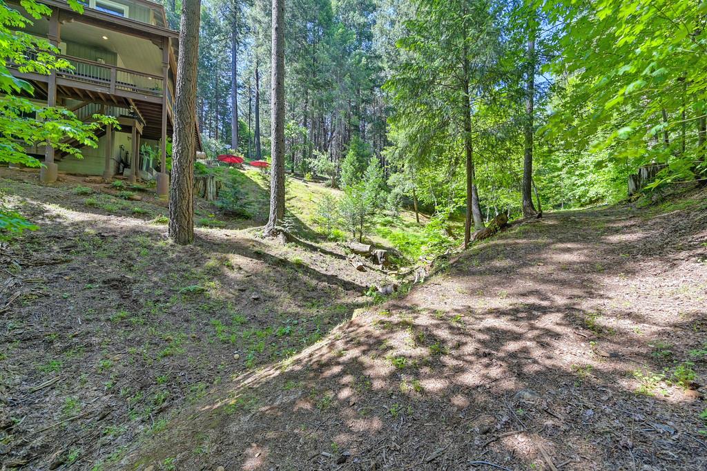 Detail Gallery Image 87 of 92 For 5321 Slalom Ln, Pollock Pines,  CA 95726 - 3 Beds | 2/1 Baths