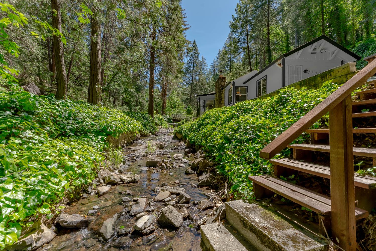 Smith Flat Road, Placerville, California image 32