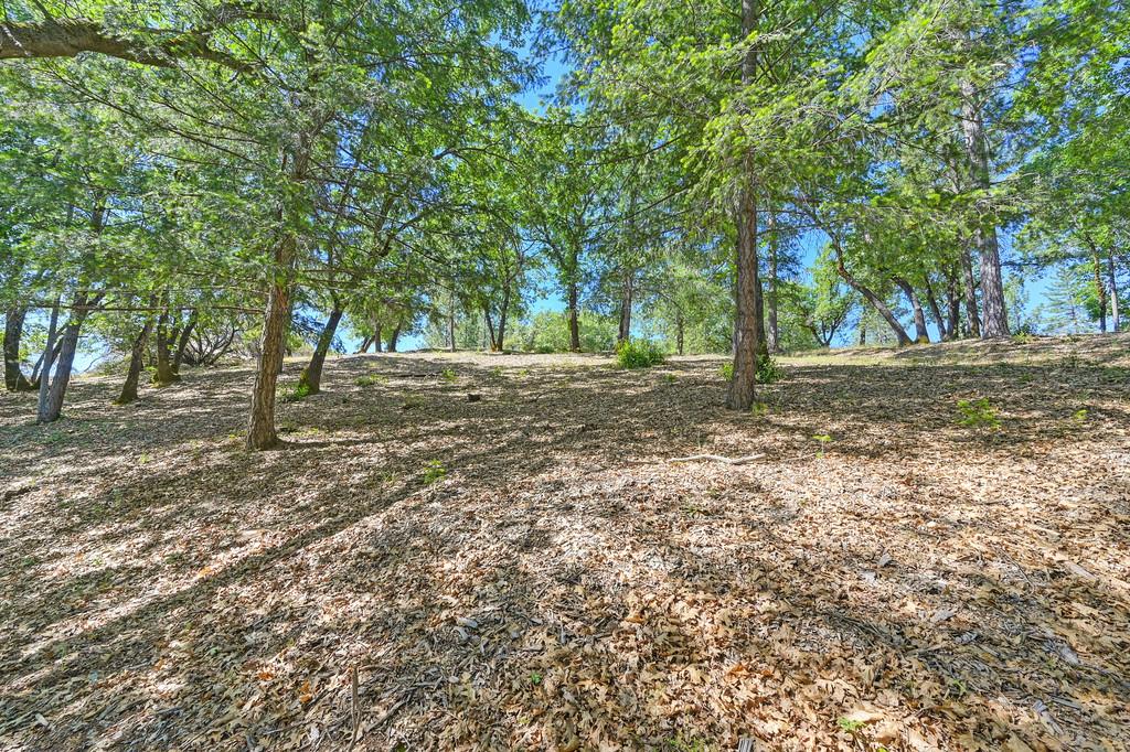 Detail Gallery Image 16 of 59 For 0 John Muir Dr, Colfax,  CA 95713 - – Beds | – Baths