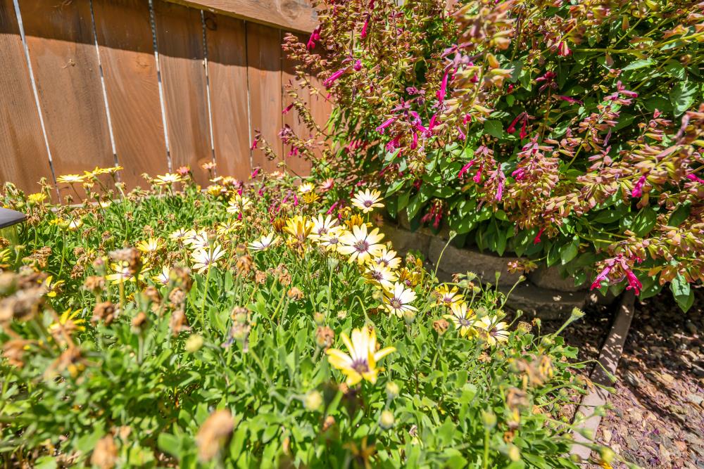 Detail Gallery Image 28 of 37 For 4380 Hovnanian Dr, Sacramento,  CA 95834 - 2 Beds | 2 Baths