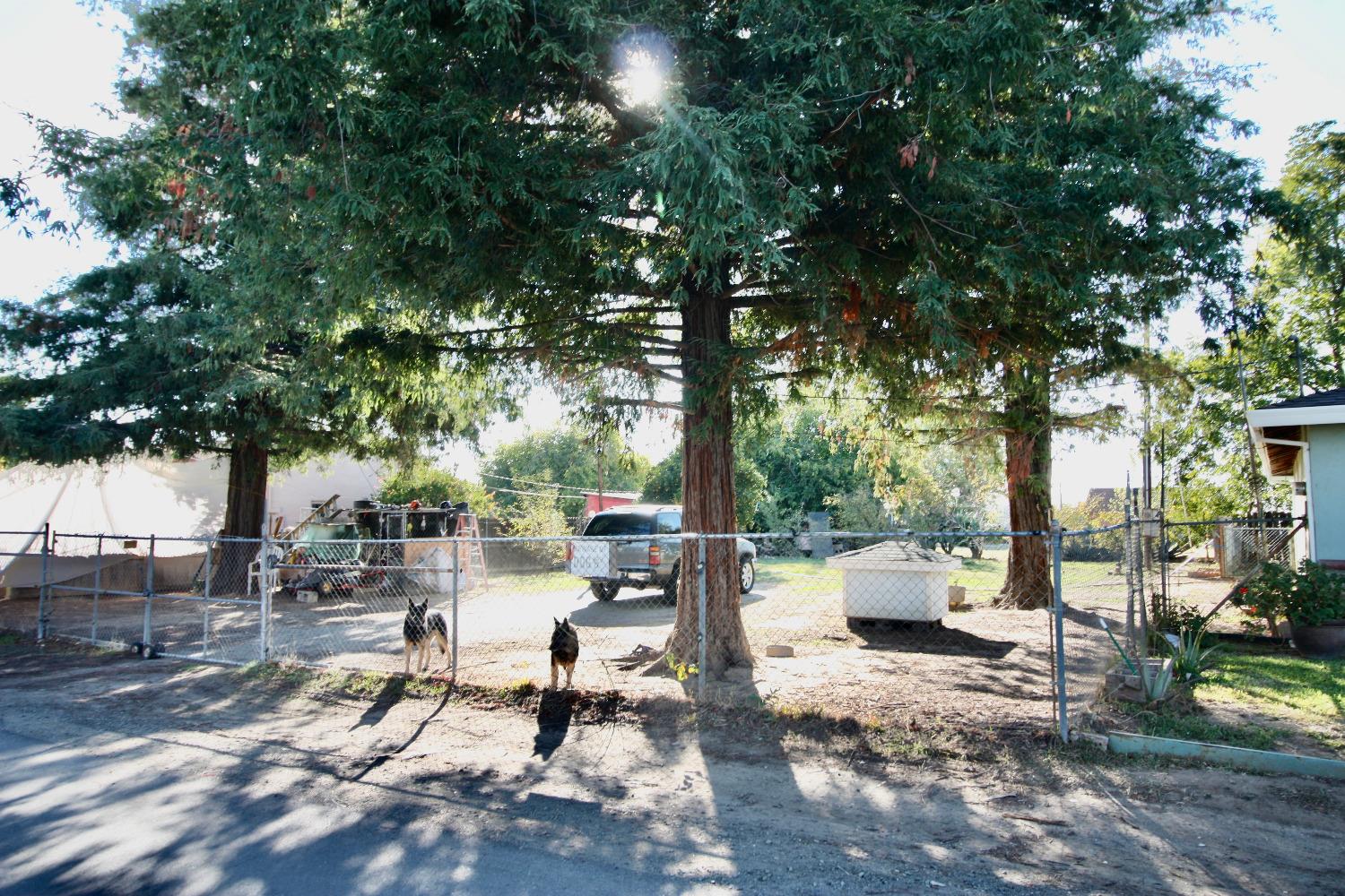 11th Avenue, Olivehurst, California image 5