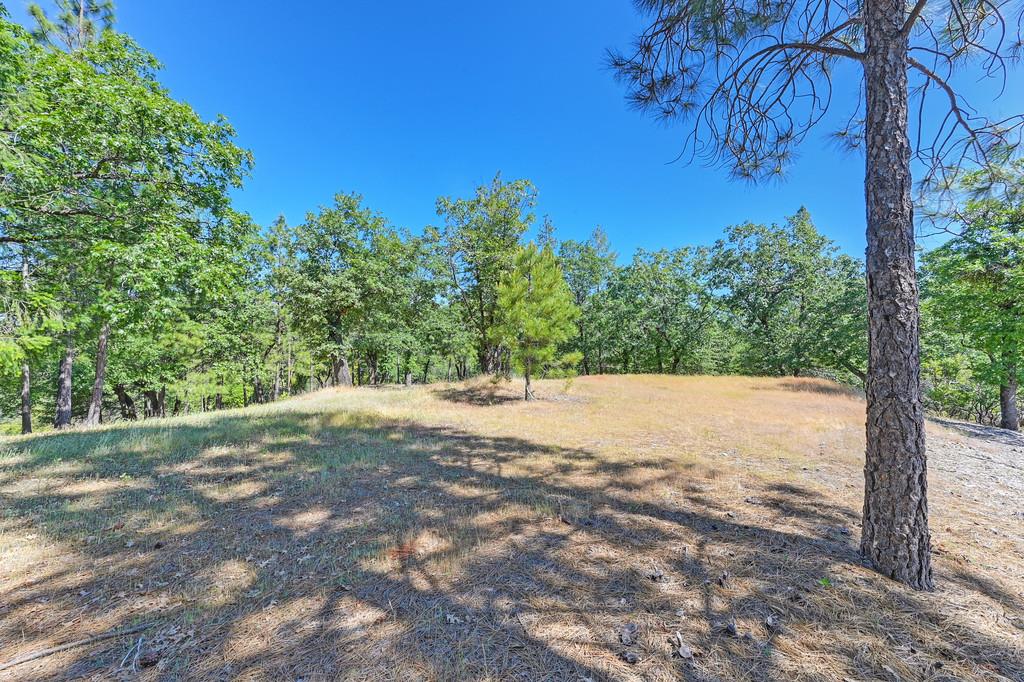 Detail Gallery Image 8 of 59 For 0 John Muir Dr, Colfax,  CA 95713 - – Beds | – Baths